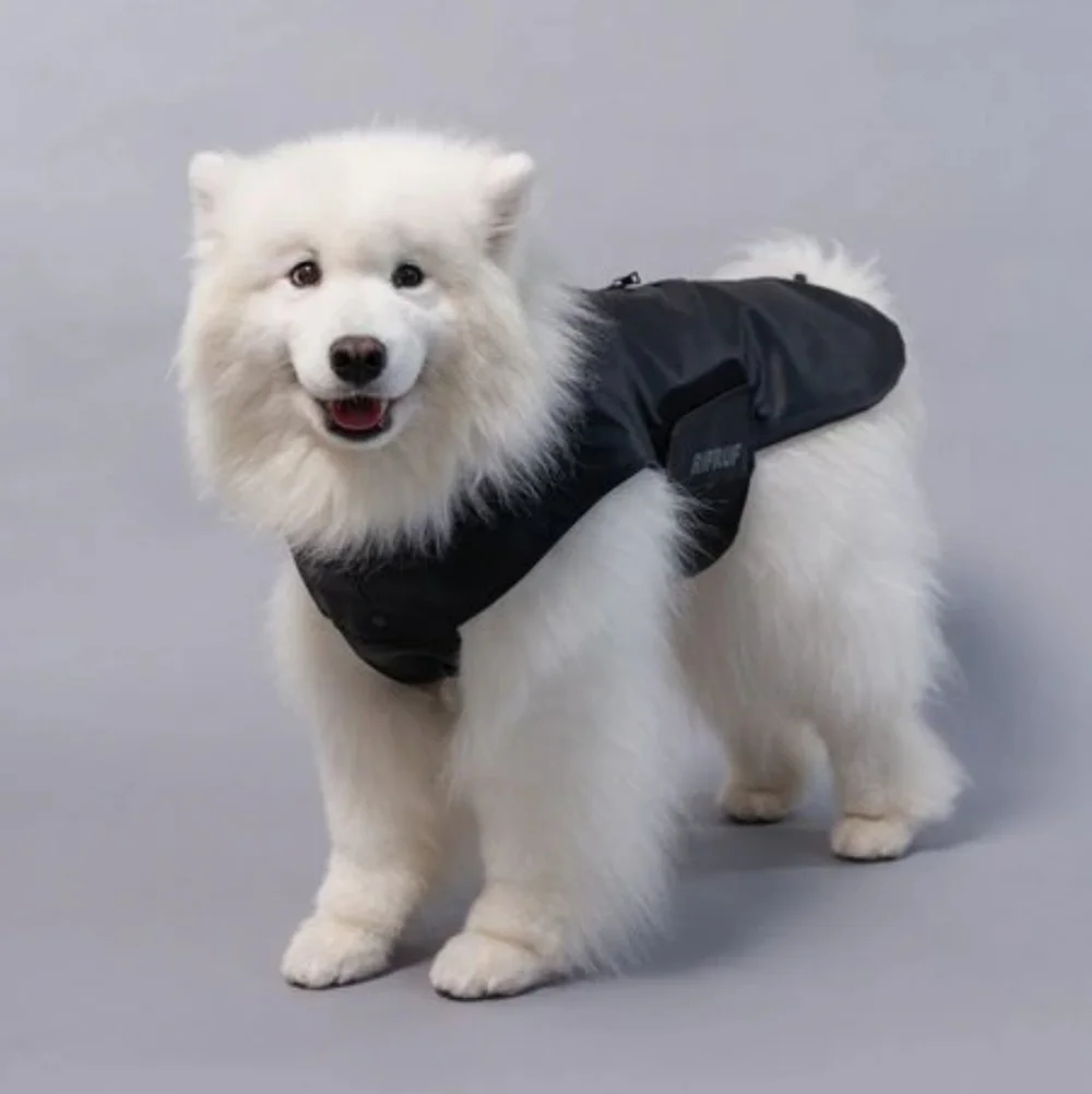 RIFRUF | Stormhunter Dog Raincoat in Truffle (black) sz 10